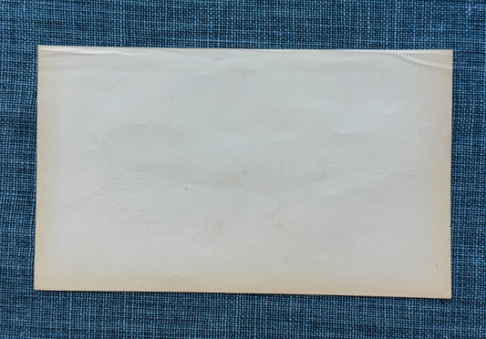 19th c. English Bookplate Fish Etching (Swordfish)