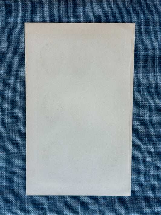 Early 20th c. English Bookplate Speckled Egg Etching (Plovers)