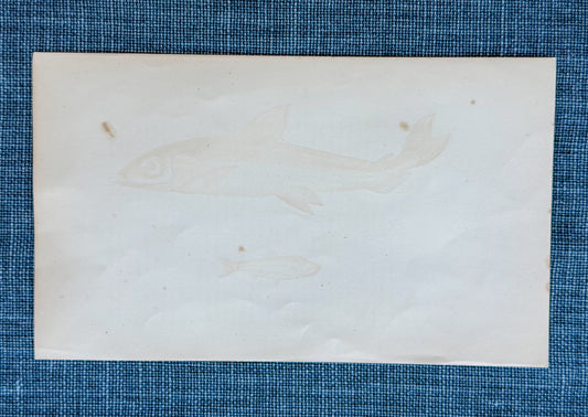 19th c. English Bookplate Fish Etching (Smelt & Argentine)