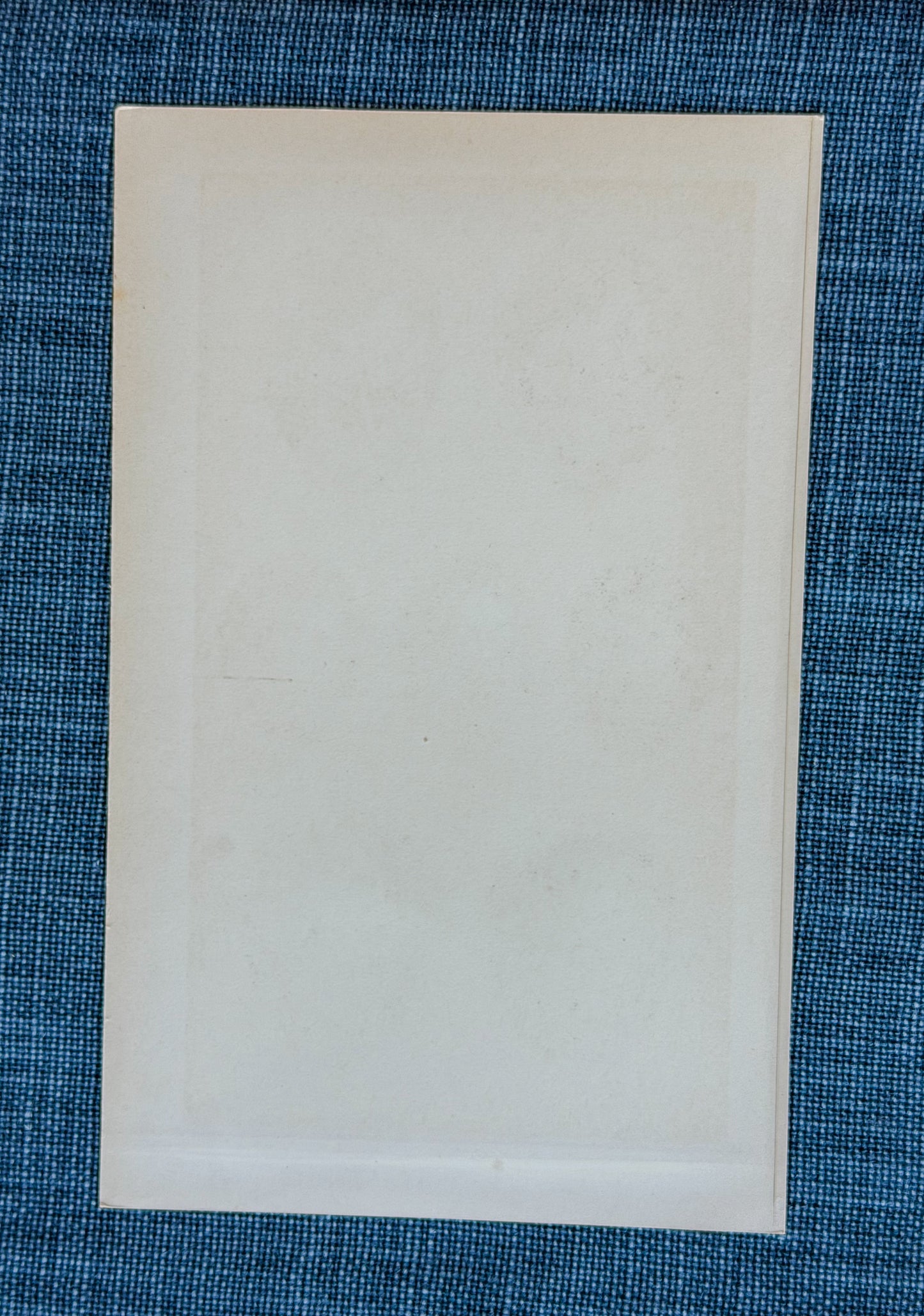 Early 20th c. English Bookplate Speckled Egg Etching (Barred W., Garden W., Blackcap W., etc.)