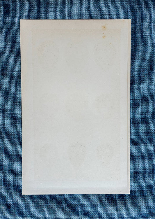 Early 20th c. English Bookplate Speckled Egg Etching (Snipes)