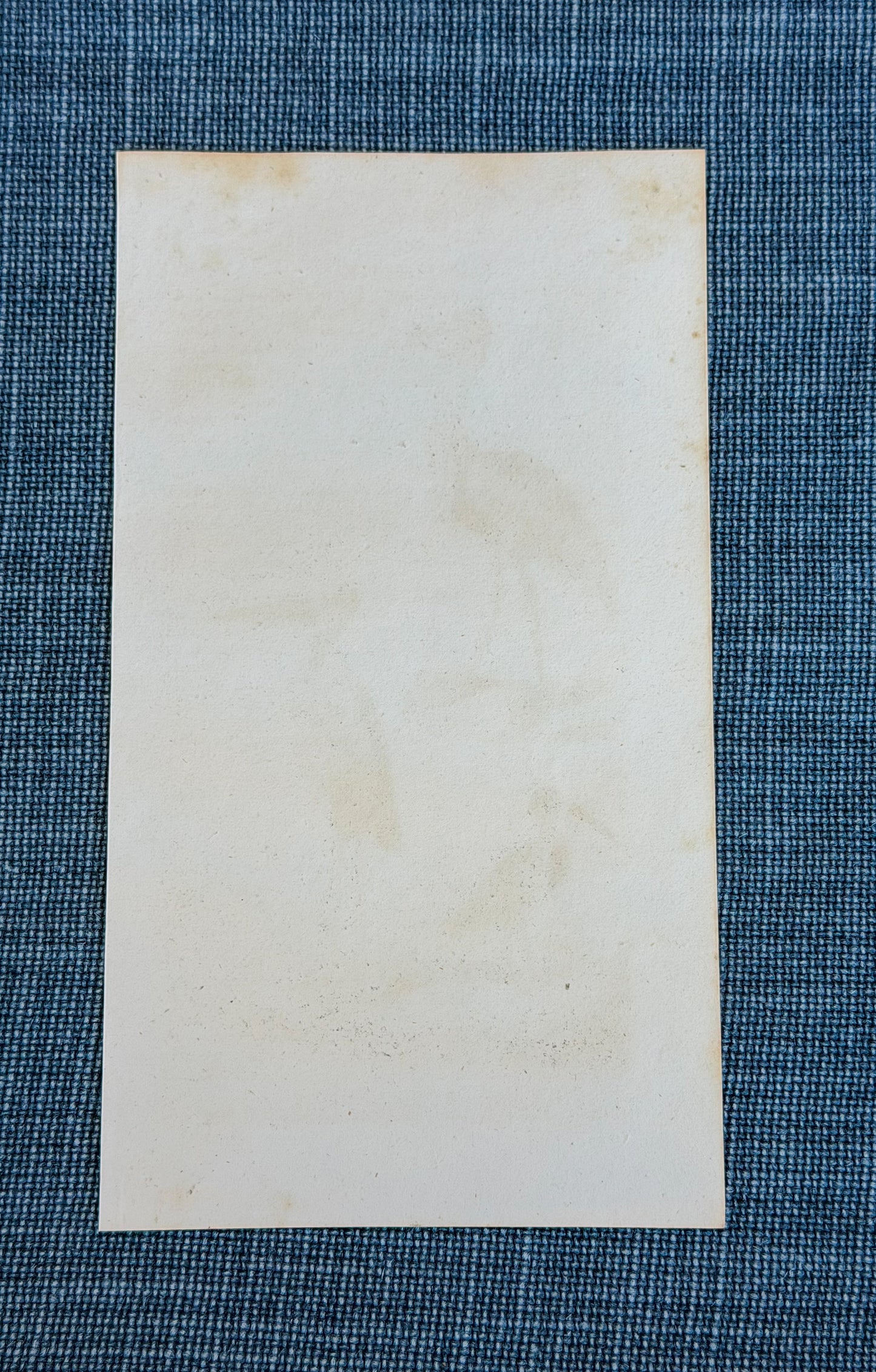 19th c. English Bookplate Animal Etching (Heron, Crane, Ibis)