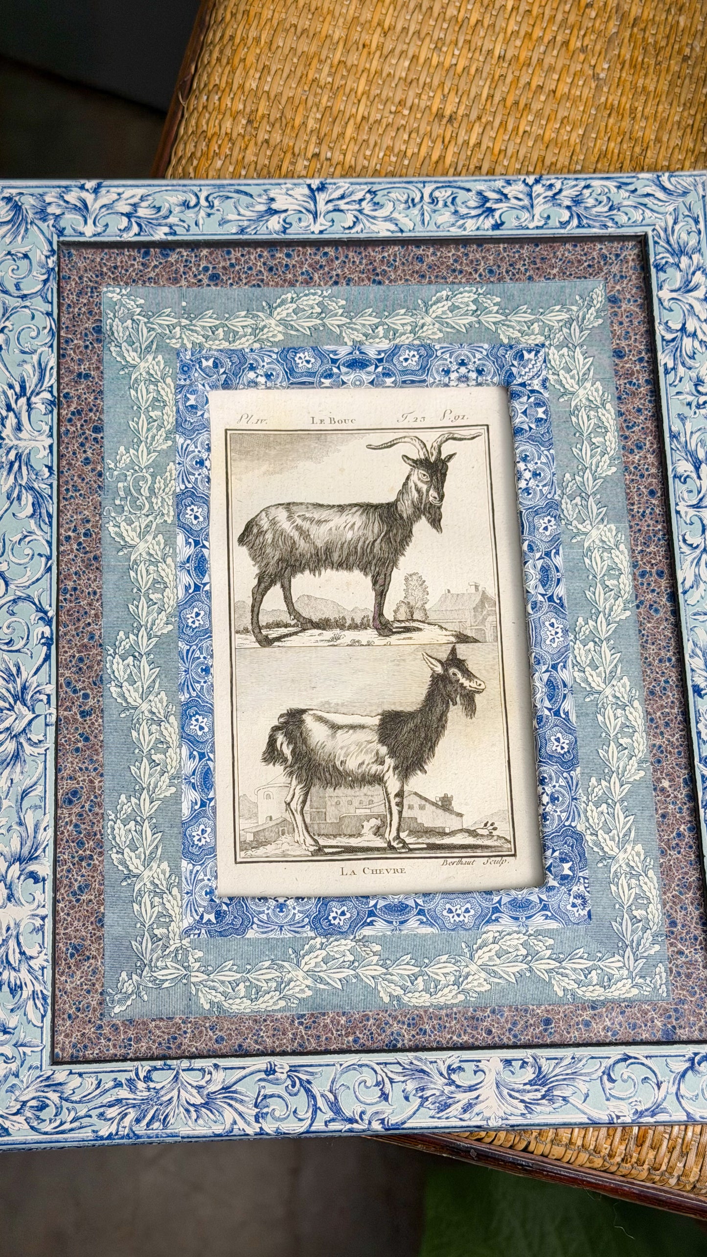 Early 19th c. Bookplate Engravings, Sonnini’s Histoire Naturelle des Animaux