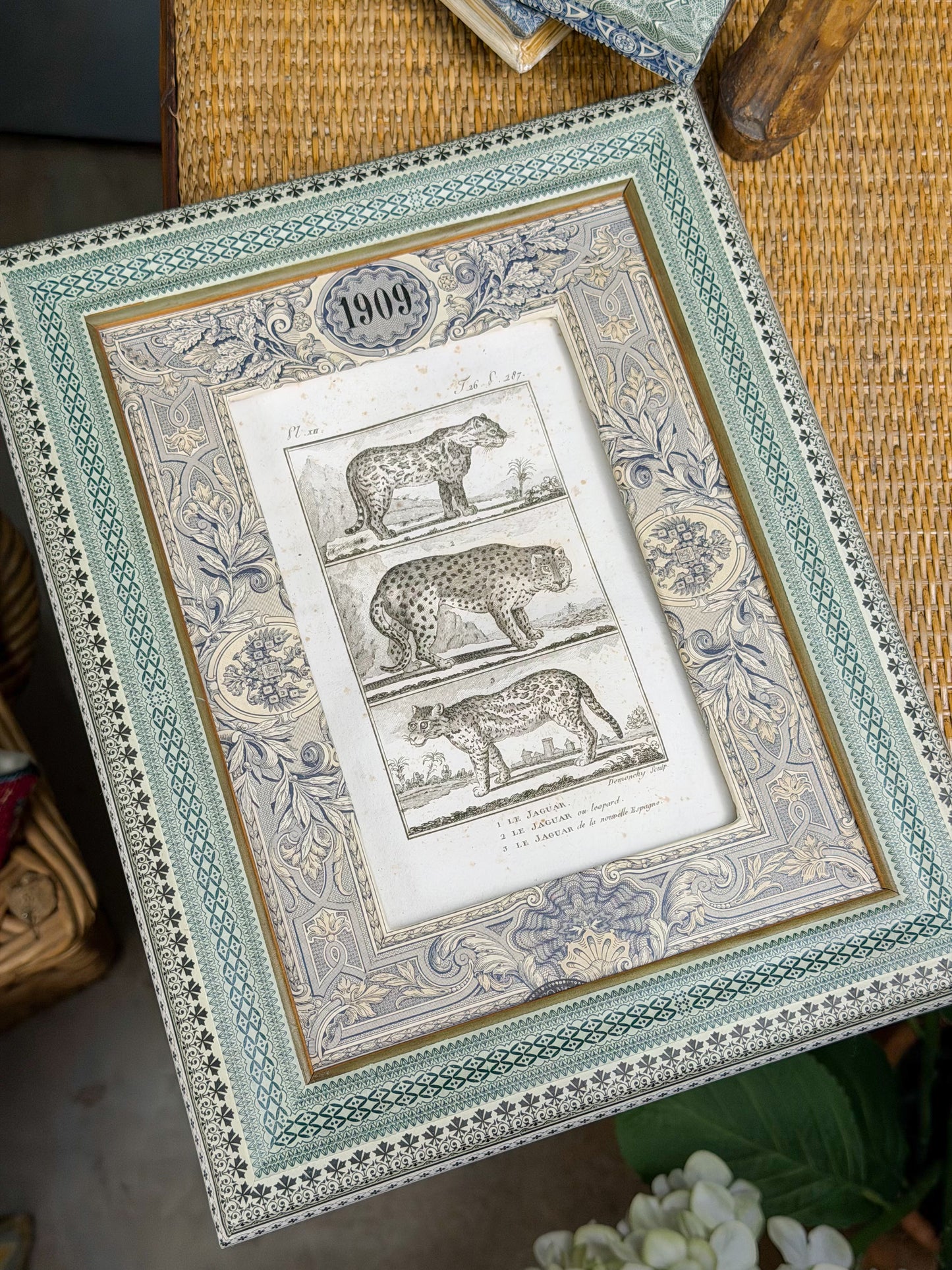 Early 19th c. Bookplate Engravings, Sonnini’s Histoire Naturelle des Animaux