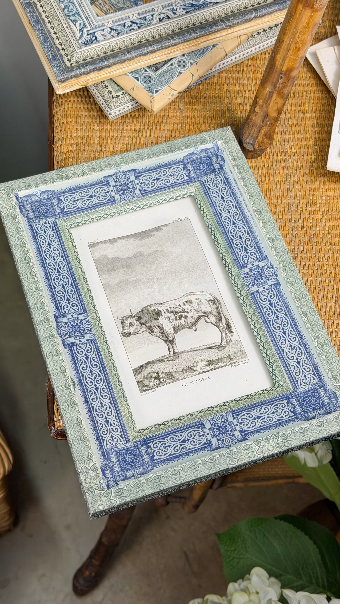 18th c. French Bookplate Engraving, Buffon’s Histoire Naturelle, Le Taureau (Bull)