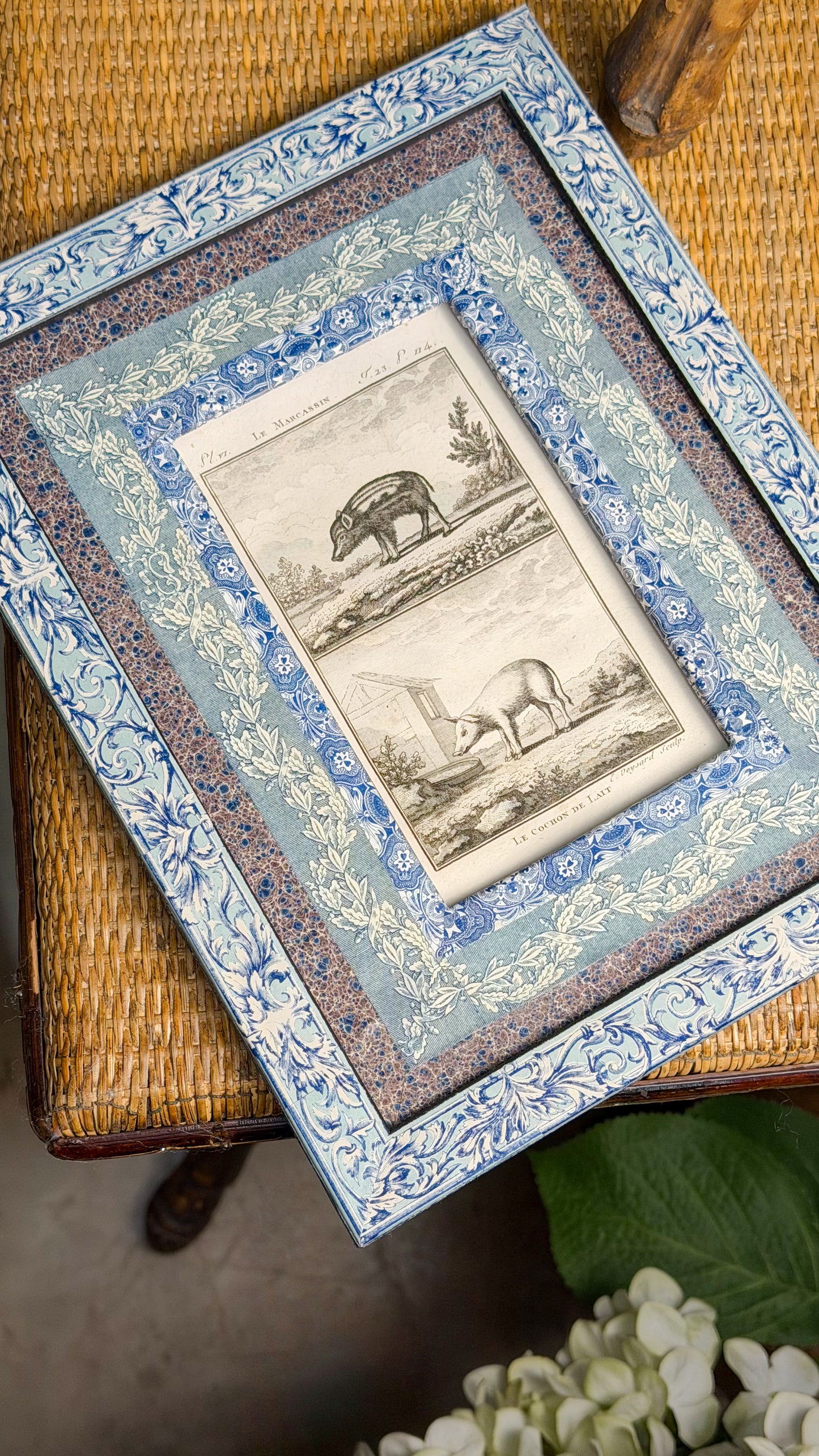 Early 19th c. Bookplate Engravings, Sonnini’s Histoire Naturelle des Animaux