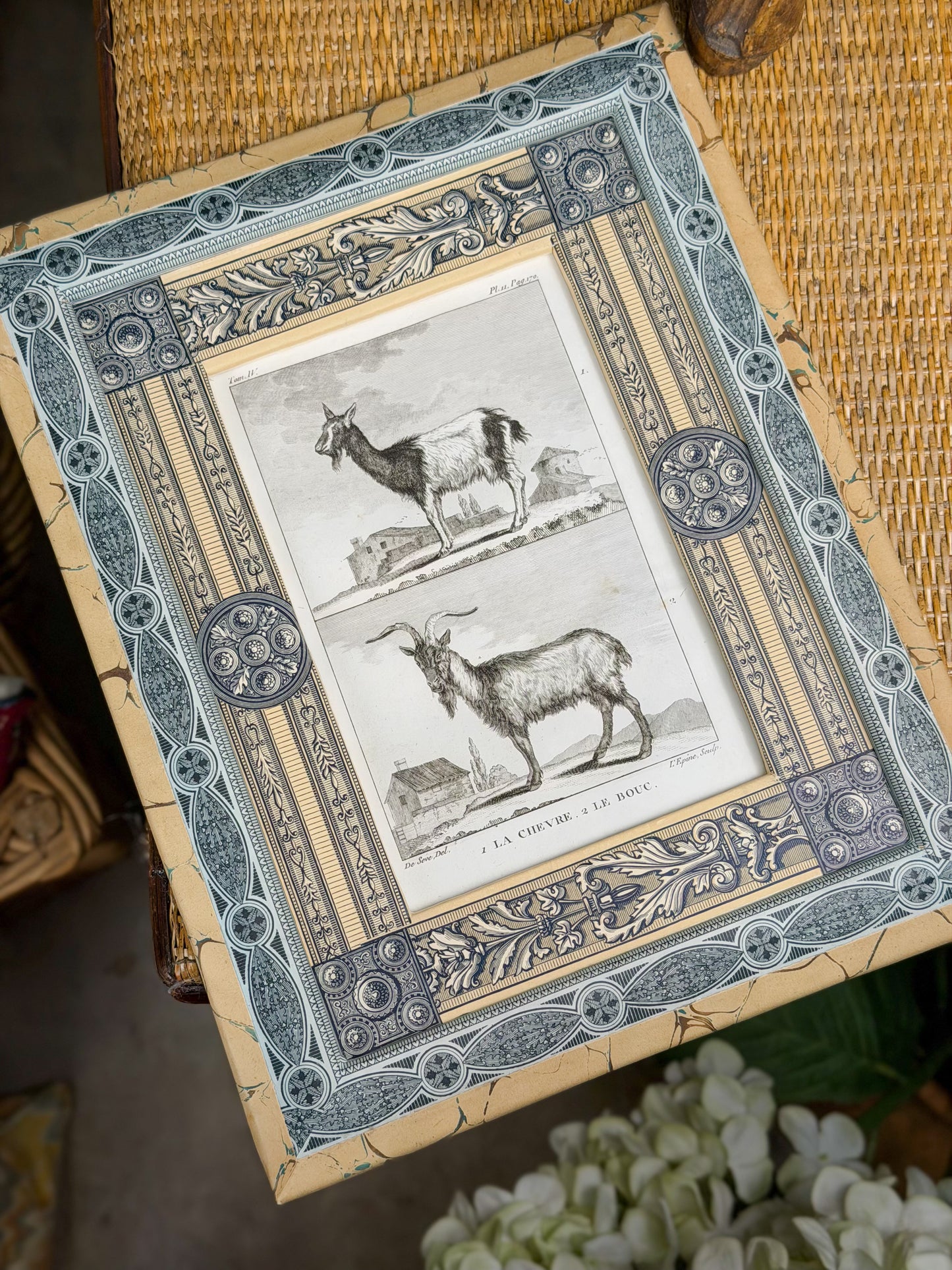 18th c. French Bookplate Engraving, Buffon’s Histoire Naturelle, La Chèvre/Le Bouc (Goat)