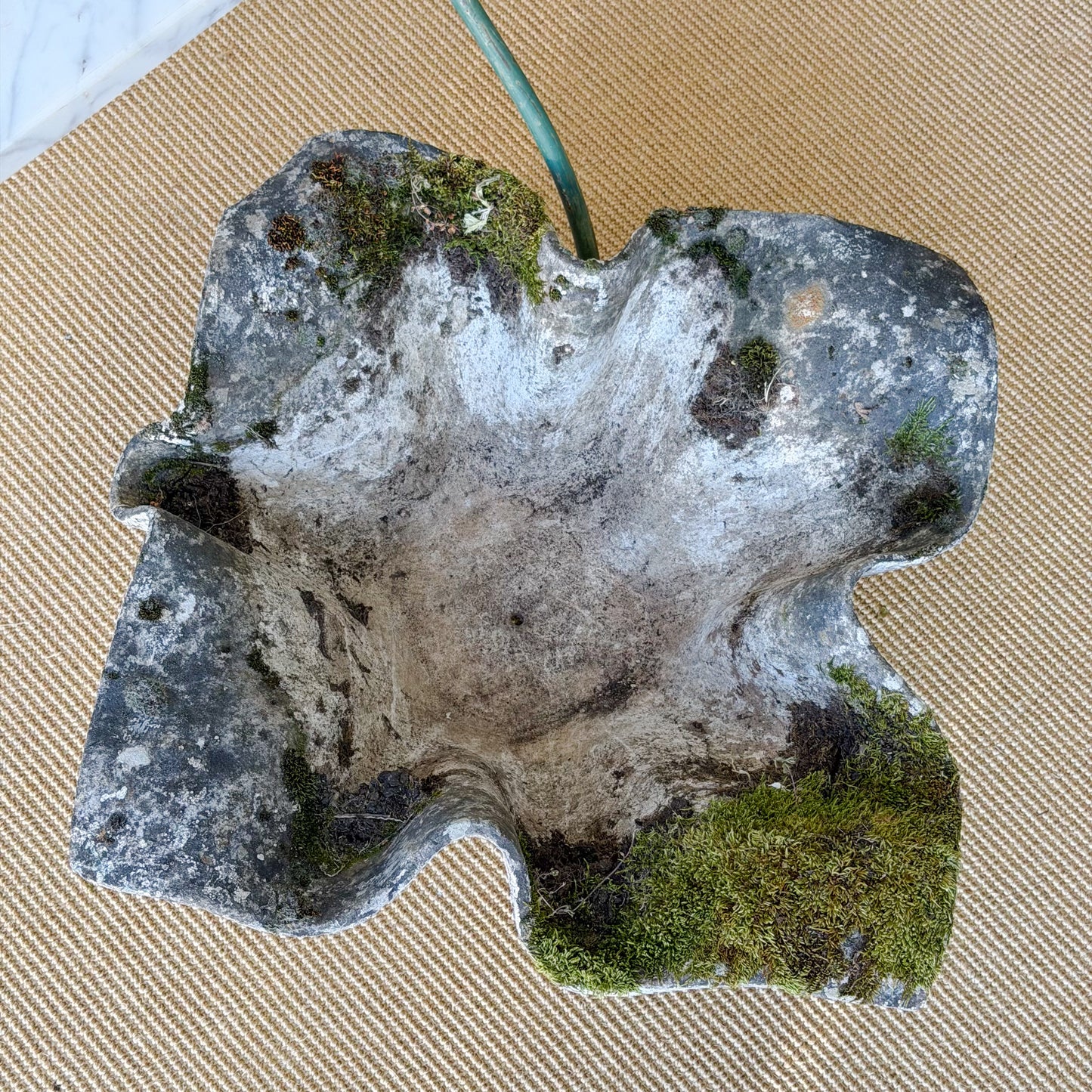 Willy Guhl Handkerchief Planter
