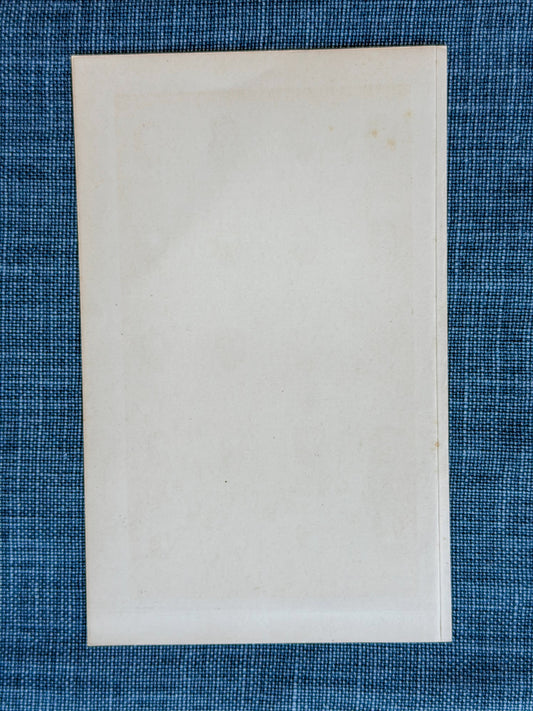 Early 20th c. English Bookplate Speckled Egg Etching (Bluethroat, Nightingale, Robin, etc.)