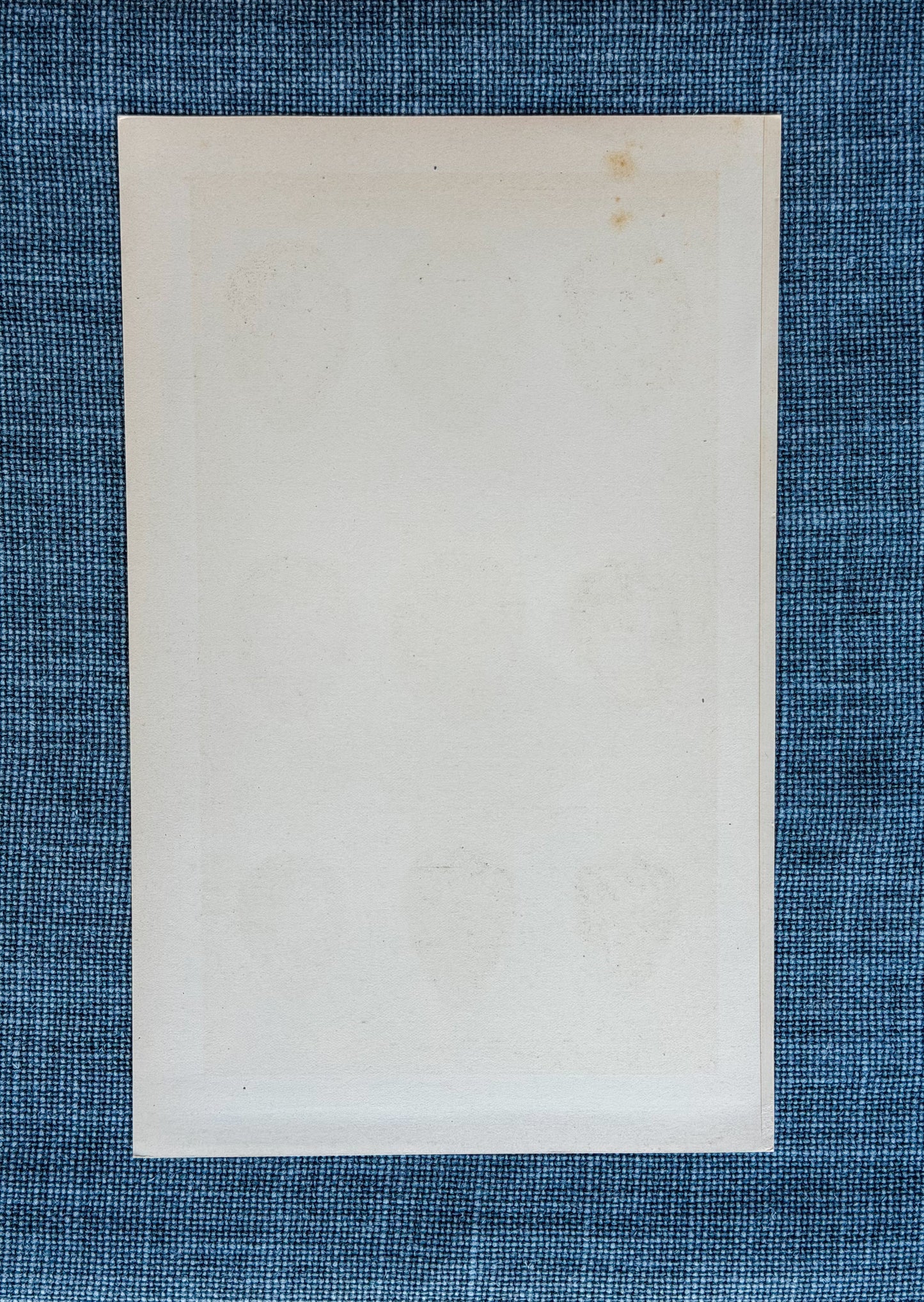 Early 20th c. English Bookplate Speckled Egg Etching (Snipes)