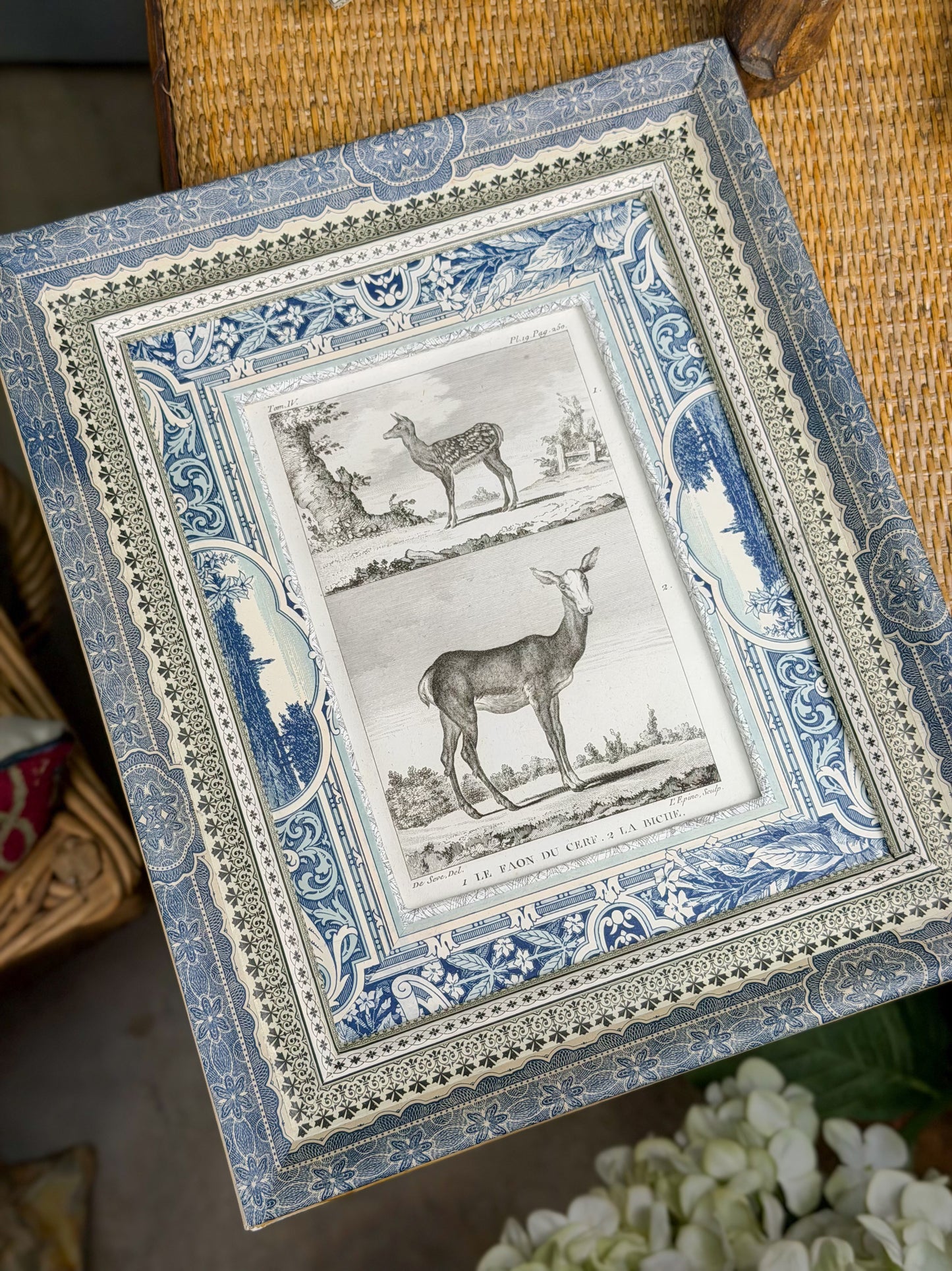 18th c. French Bookplate Engraving, Buffon’s Histoire Naturelle, Le Faon du Cerf/La Biche (Deer)