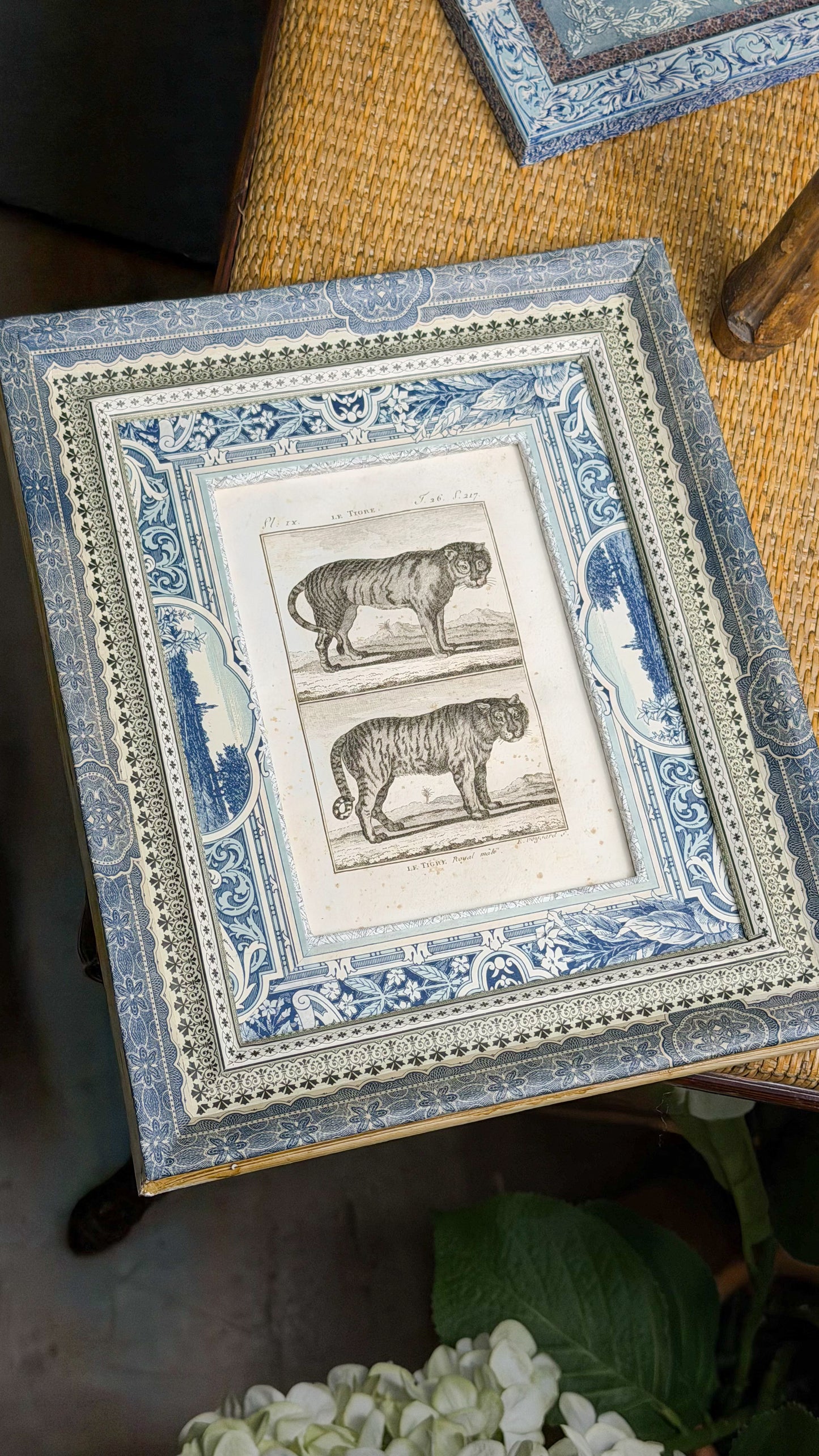 Early 19th c. Bookplate Engravings, Sonnini’s Histoire Naturelle des Animaux