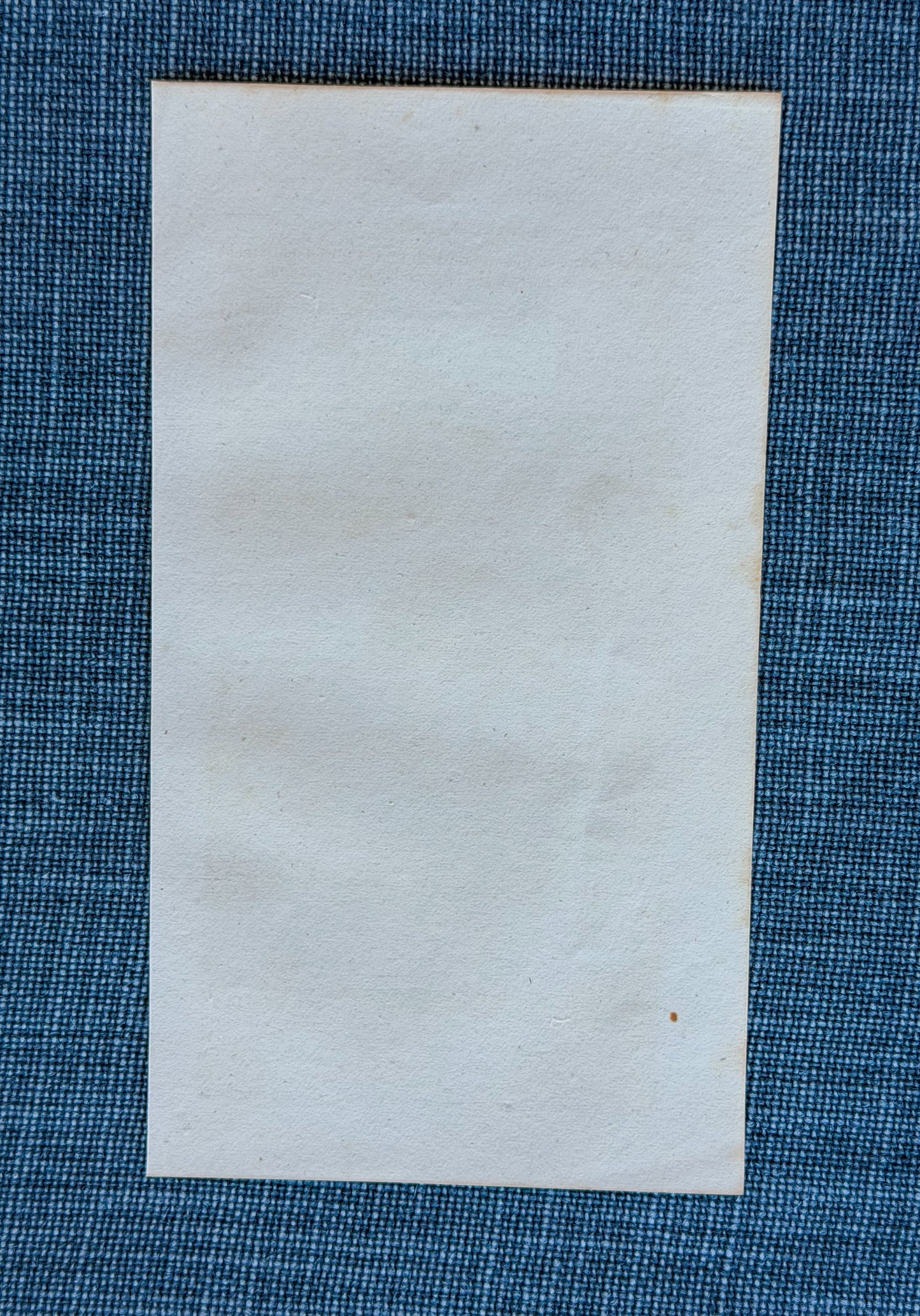19th c. English Bookplate Animal Etching (Spoonbill, Crane, Egret)